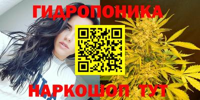 mix Партизанск