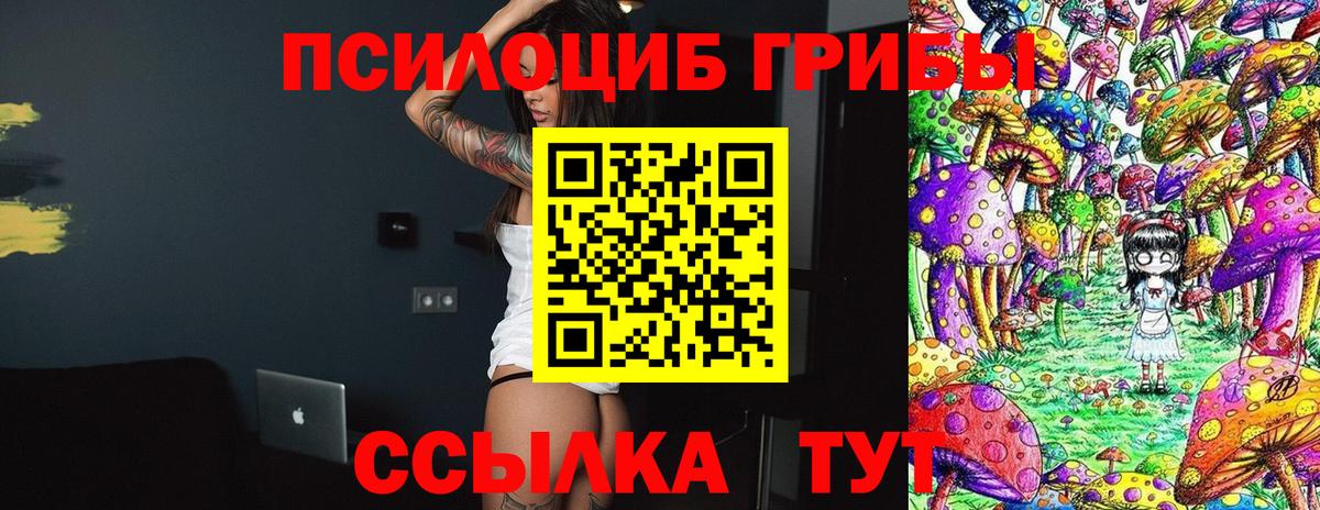 Сокол  Псилоцибиновые грибы ЛСД  наркота  Вход с VPN 