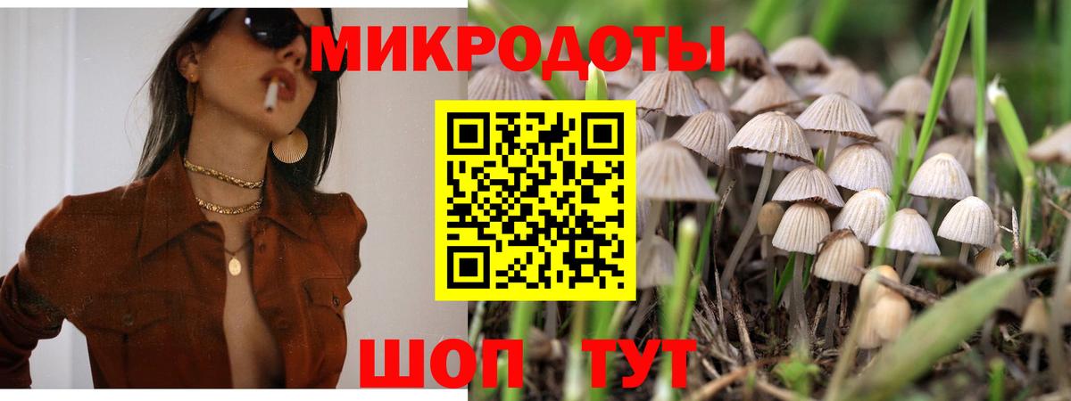 Галлюциногенные грибы Psilocybine cubensis Сокол